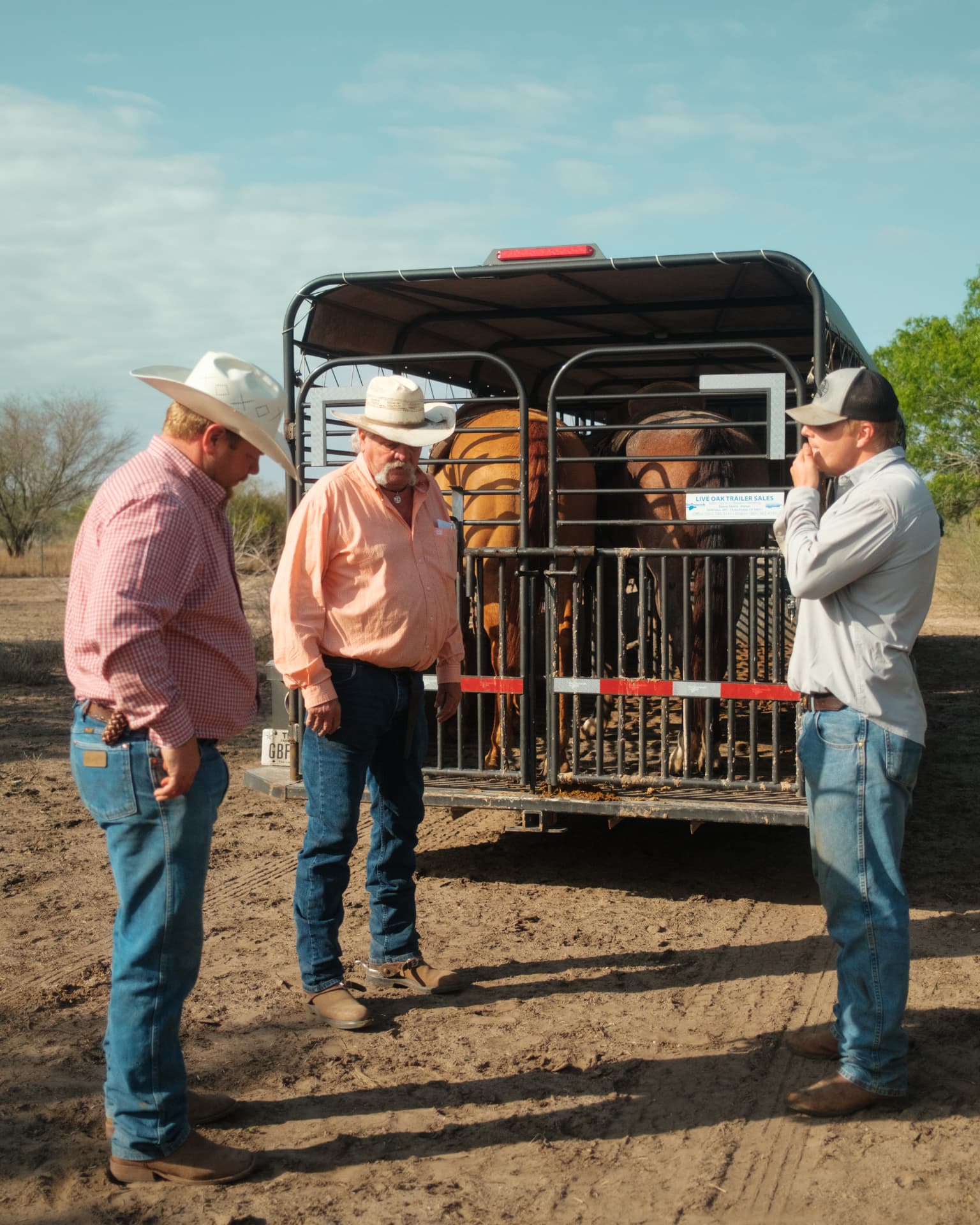 Three members of the Sussex Ranch family beside a livestock trailer with cattle.